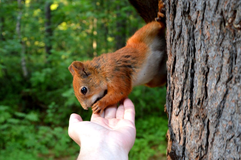 Discover the Healing Power of Nature: How Wildlife Interactions Enhance Wellness