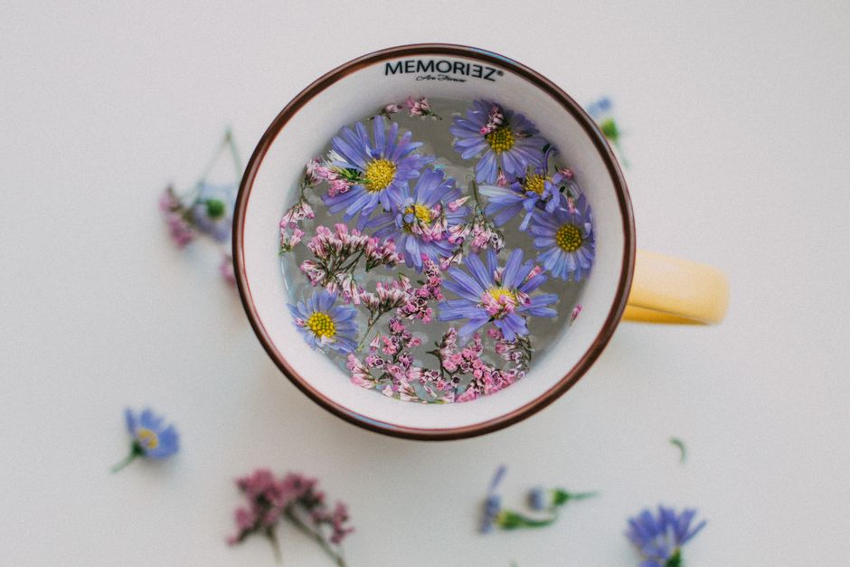 Discover the Art of Botanical Relaxation: 7 Plant-Based Methods to Find Your Zen