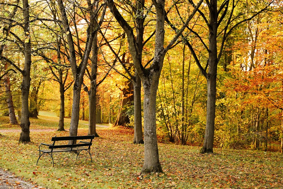 7 Ways Therapeutic Landscapes Transform Your Well-being