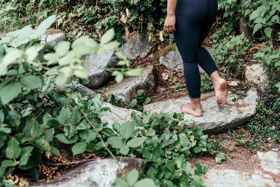 The Healing Power of Nature: How Ecotherapy Can Alleviate Stress