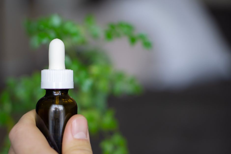 Unveiling the Magic of Plant Therapy: How It Transforms Mind and Body