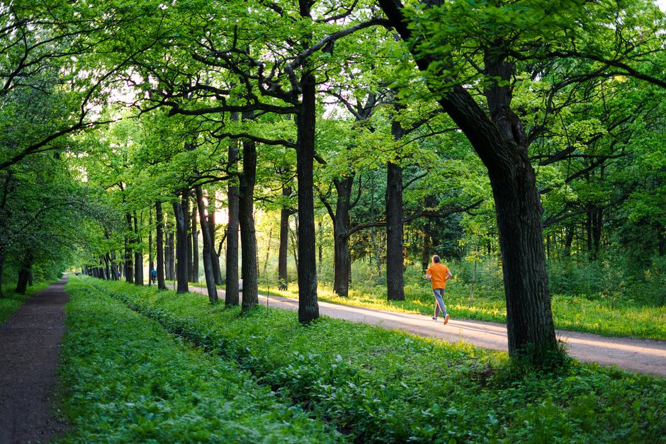 7 Remarkable Health Benefits of Embracing Nature