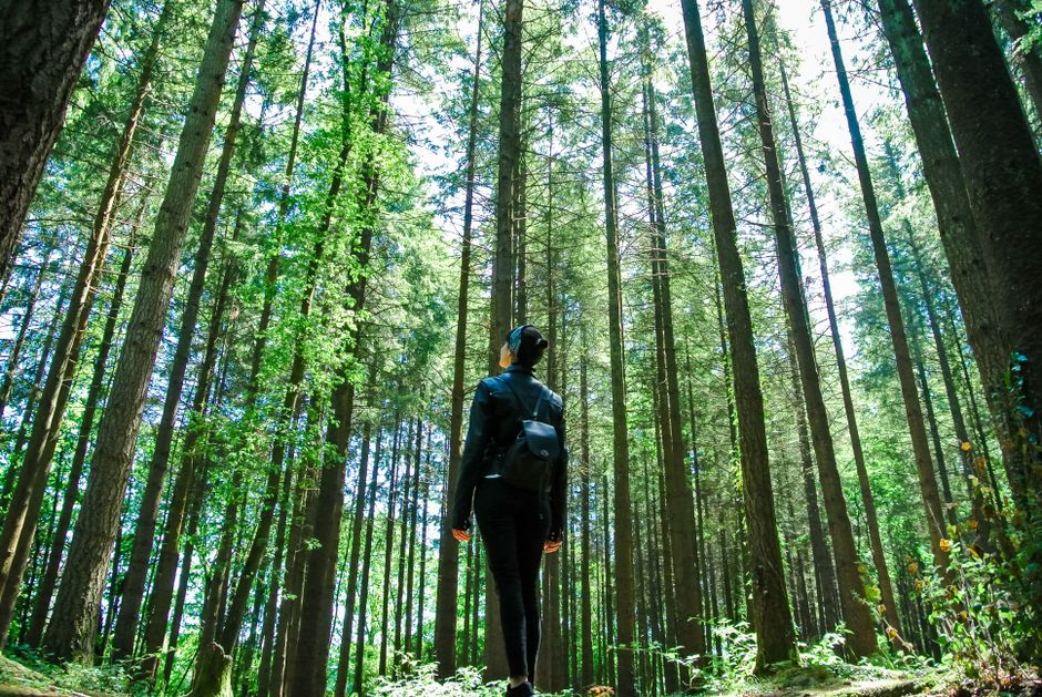 Why Reconnecting with Nature is Essential for Your Well-being