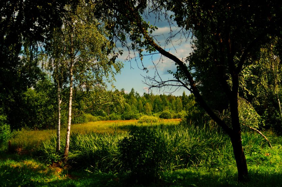 Discovering the Healing Power of Therapeutic Landscapes