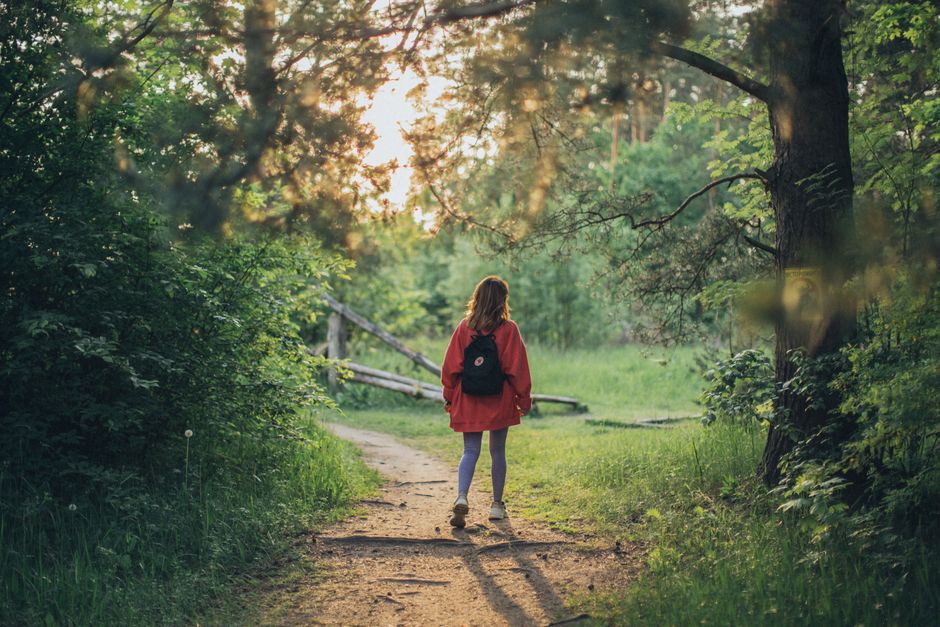 Unlocking Tranquility: The Top 5 Benefits of Nature Therapy
