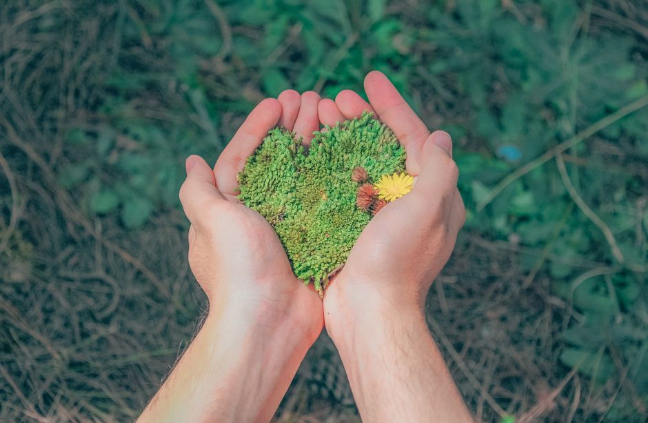 5 Essential Tips for Achieving Environmental Wellness
